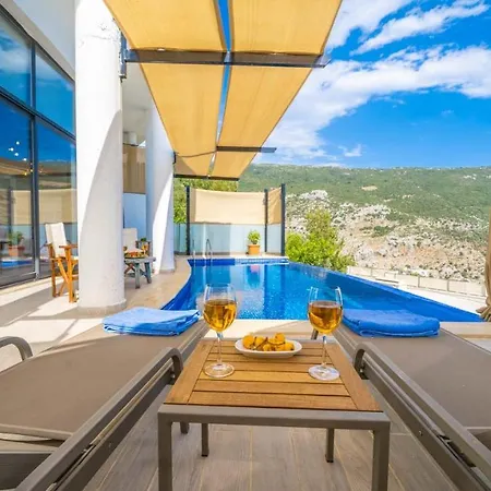 6 Design House With Infinitiy Pool-villa Kartal Yavrusu Vila Islamlar (Mediterranean)